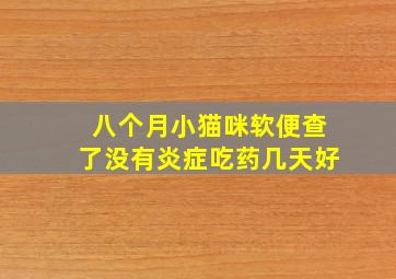 八个月小猫咪软便查了没有炎症吃药几天好