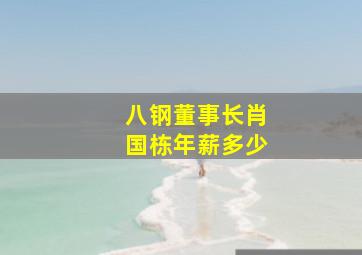 八钢董事长肖国栋年薪多少