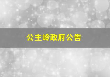 公主岭政府公告