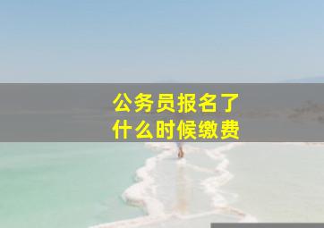 公务员报名了什么时候缴费