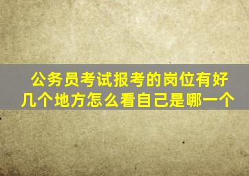 公务员考试报考的岗位有好几个地方怎么看自己是哪一个