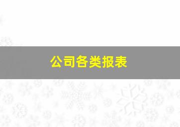 公司各类报表