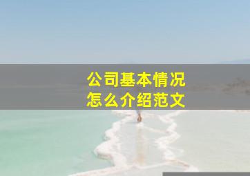 公司基本情况怎么介绍范文