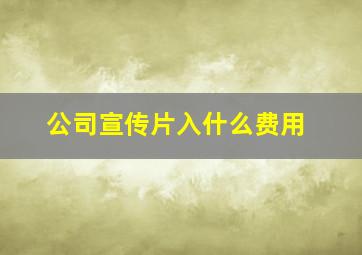 公司宣传片入什么费用