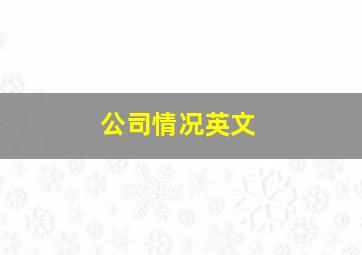 公司情况英文