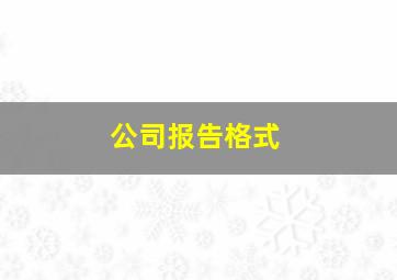 公司报告格式