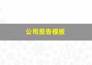 公司报告模板