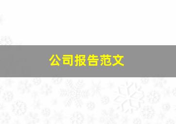 公司报告范文