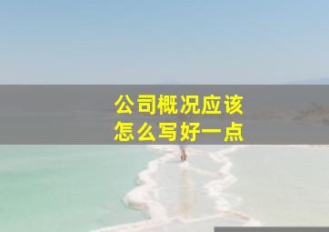 公司概况应该怎么写好一点