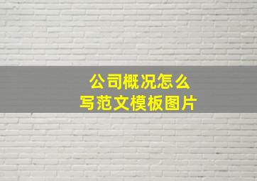 公司概况怎么写范文模板图片