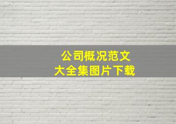 公司概况范文大全集图片下载