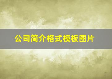 公司简介格式模板图片