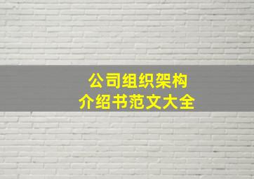 公司组织架构介绍书范文大全