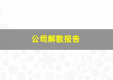 公司解散报告