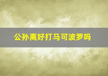 公孙离好打马可波罗吗