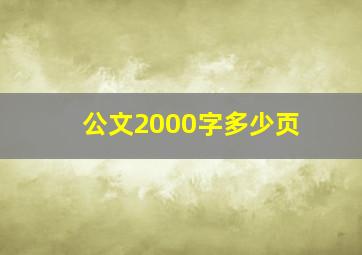 公文2000字多少页