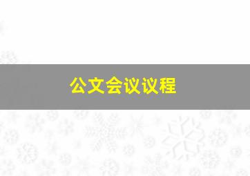 公文会议议程