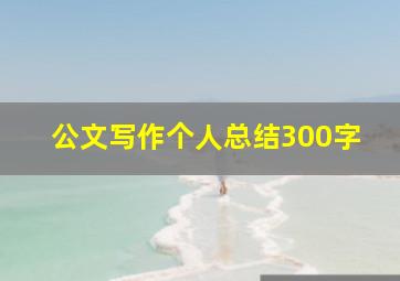 公文写作个人总结300字