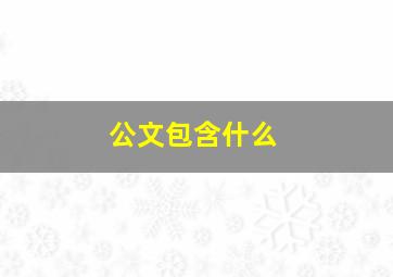 公文包含什么