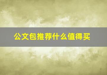 公文包推荐什么值得买