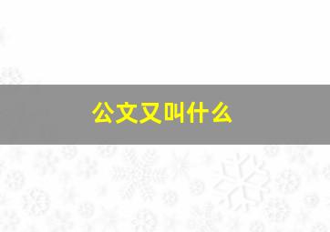 公文又叫什么