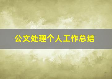 公文处理个人工作总结