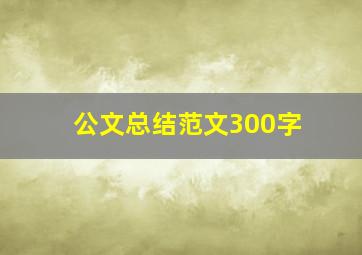 公文总结范文300字