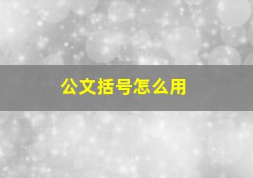 公文括号怎么用