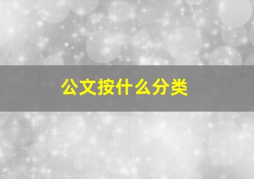 公文按什么分类