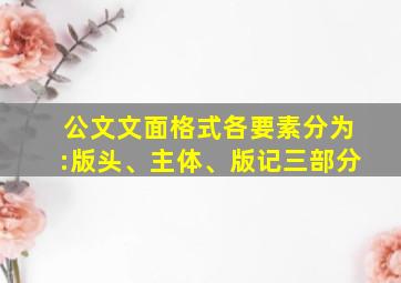 公文文面格式各要素分为:版头、主体、版记三部分