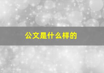 公文是什么样的