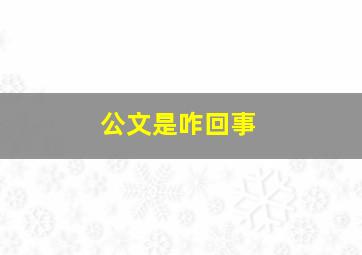 公文是咋回事