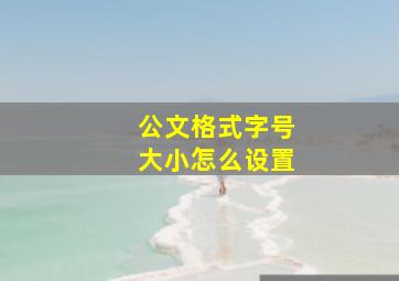 公文格式字号大小怎么设置