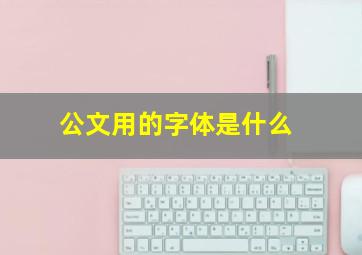 公文用的字体是什么