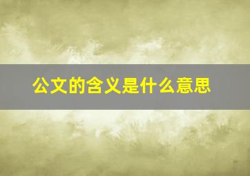 公文的含义是什么意思