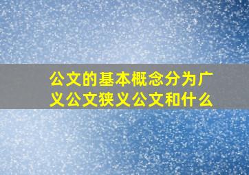 公文的基本概念分为广义公文狭义公文和什么