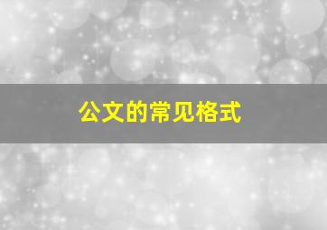 公文的常见格式