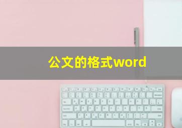 公文的格式word