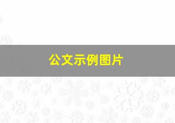 公文示例图片