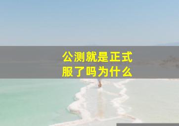 公测就是正式服了吗为什么