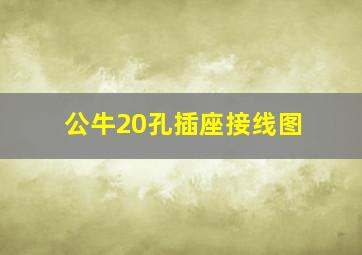 公牛20孔插座接线图