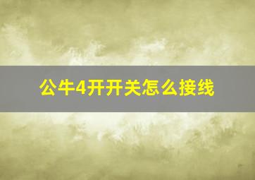 公牛4开开关怎么接线