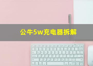 公牛5w充电器拆解