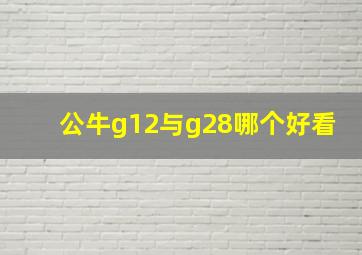 公牛g12与g28哪个好看