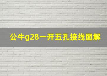 公牛g28一开五孔接线图解