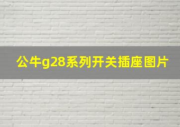 公牛g28系列开关插座图片