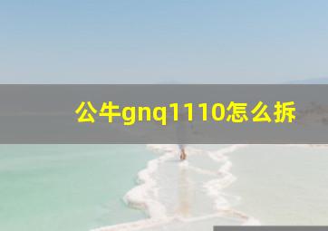 公牛gnq1110怎么拆