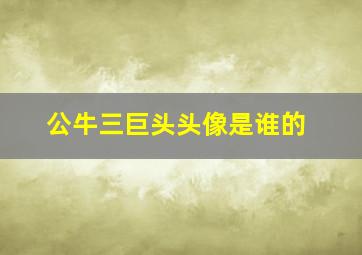 公牛三巨头头像是谁的