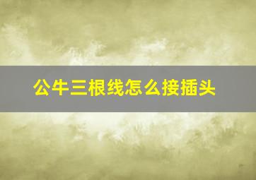 公牛三根线怎么接插头