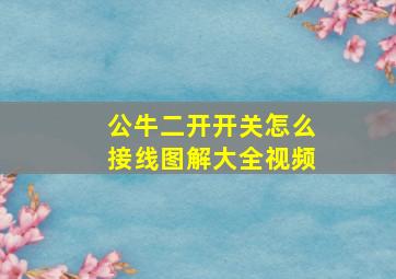 公牛二开开关怎么接线图解大全视频